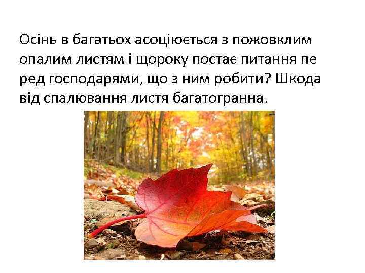 Осінь в багатьох асоціюється з пожовклим опалим листям і щороку постає питання пе ред