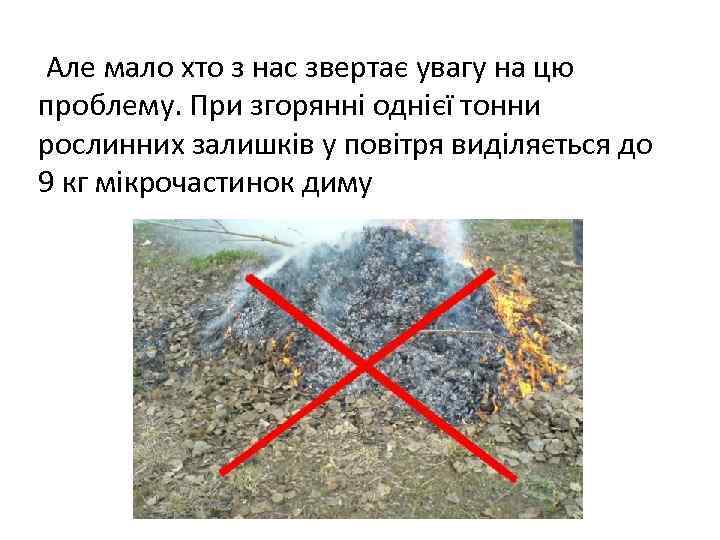 Але мало хто з нас звертає увагу на цю проблему. При згорянні однієї тонни