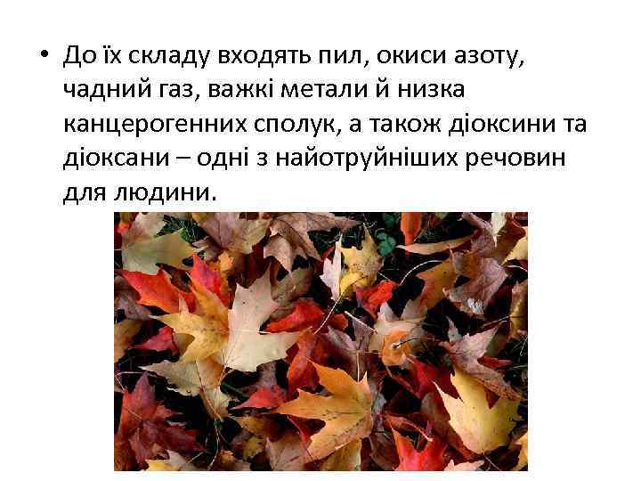  • До їх складу входять пил, окиси азоту, чадний газ, важкі метали й
