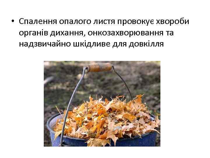  • Спалення опалого листя провокує хвороби органів дихання, онкозахворювання та надзвичайно шкідливе для