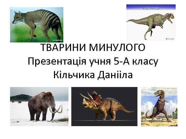 ТВАРИНИ МИНУЛОГО Презентація учня 5 -А класу Кільчика Данііла 