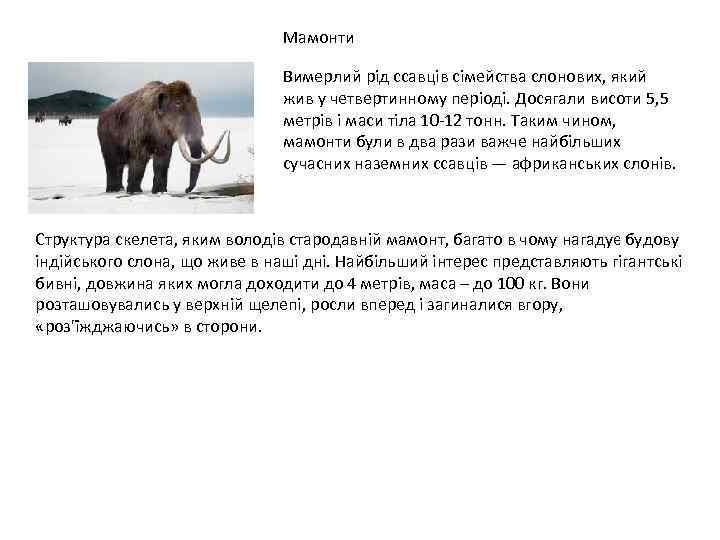 Мамонти Вимерлий рід ссавців сімейства слонових, який жив у четвертинному періоді. Досягали висоти 5,