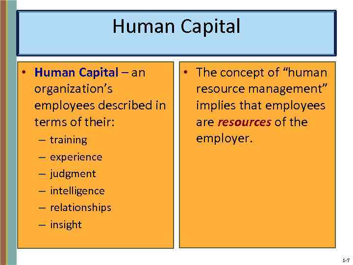 Human Capital • Human Capital – an organization’s employees described in terms of their: