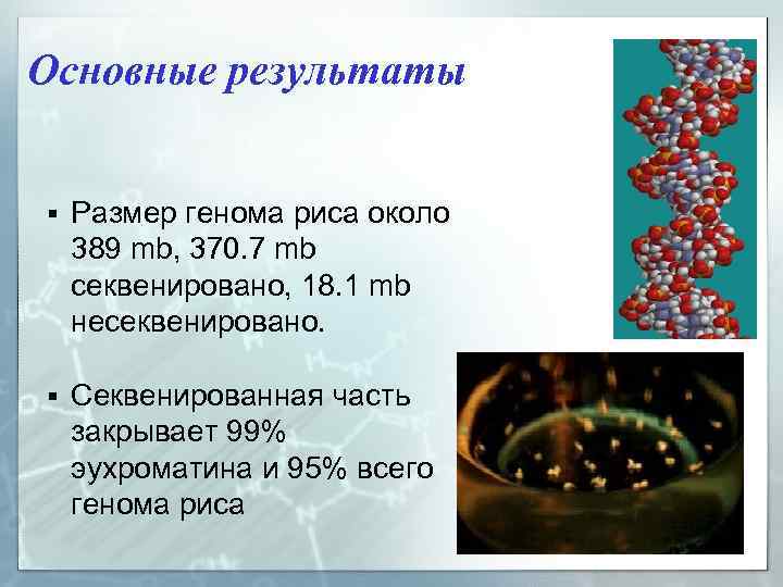 Основные результаты § Размер генома риса около 389 mb, 370. 7 mb секвенировано, 18.