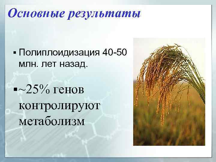 Основные результаты § Полиплоидизация 40 -50 млн. лет назад. § ~25% генов контролируют метаболизм