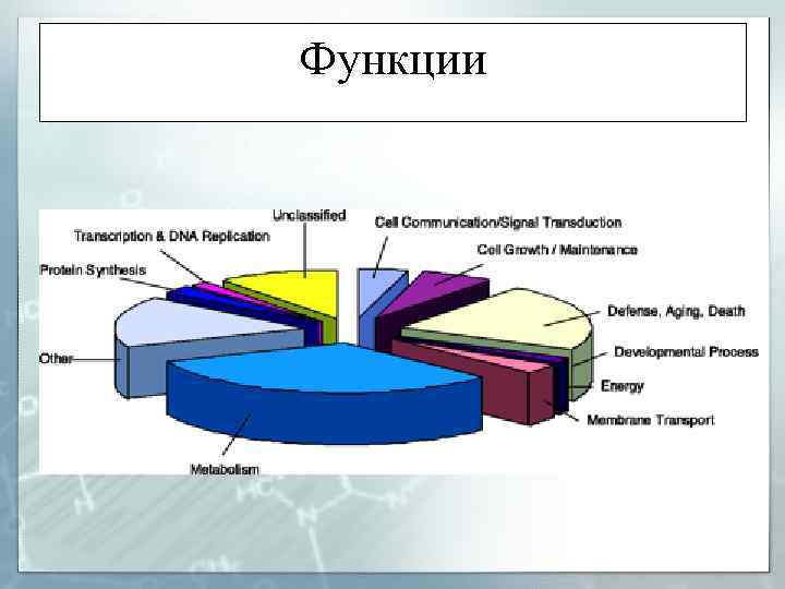 Функции 