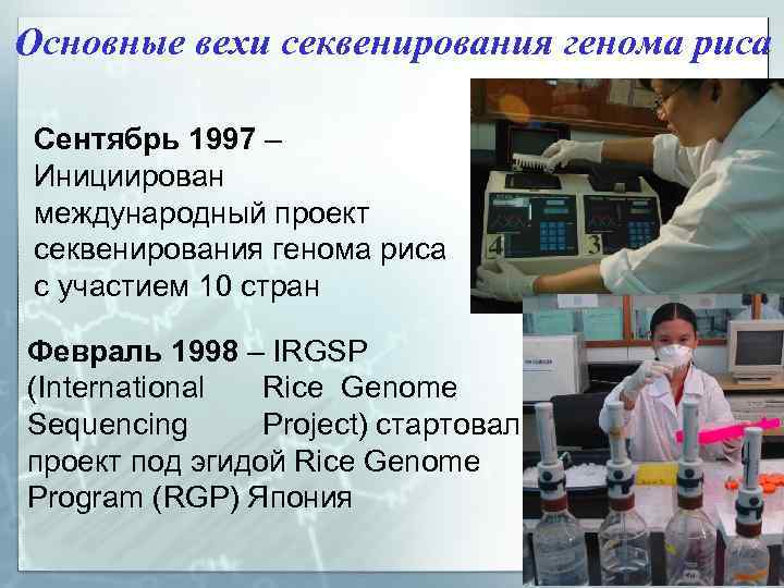 Основные вехи секвенирования генома риса Сентябрь 1997 – Инициирован международный проект секвенирования генома риса