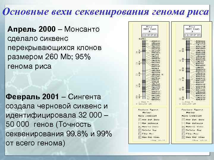 Основные вехи секвенирования генома риса Апрель 2000 – Монсанто сделало сиквенс перекрывающихся клонов размером