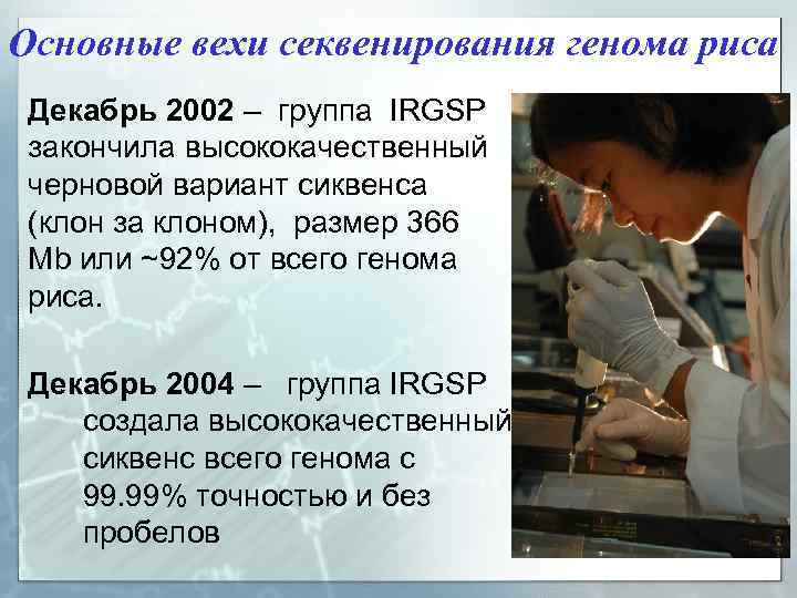 Основные вехи секвенирования генома риса Декабрь 2002 – группа IRGSP закончила высококачественный черновой вариант