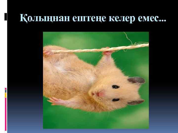 Қолыңнан ештеңе келер емес. . . 