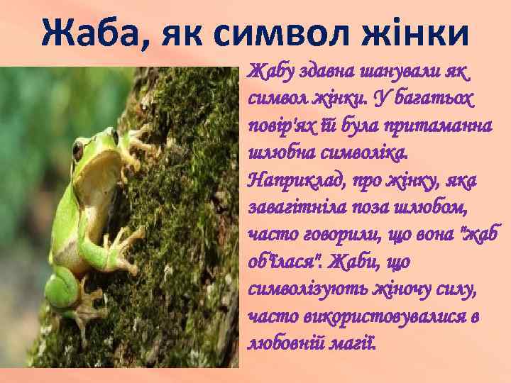 Жаба, як символ жінки Жабу здавна шанували як символ жінки. У багатьох повір'ях їй