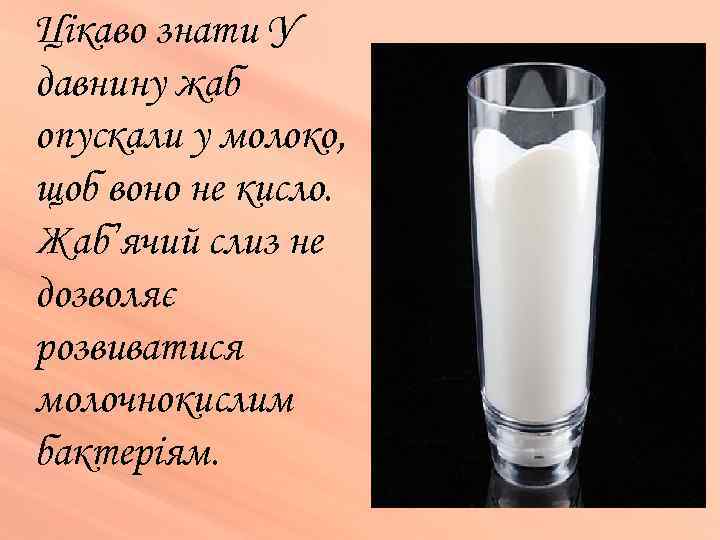 Цікаво знати У давнину жаб опускали у молоко, щоб воно не кисло. Жаб’ячий слиз