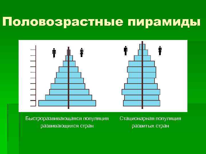 Возрастная половая пирамида. Половозрастная пирамида мира. Половозрастная пирамида 1 типа воспроизводства. Демографические пирамиды стран мира. Регрессивная Половозрастная пирамида.