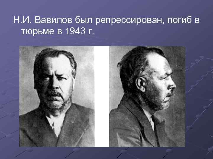 Н. И. Вавилов был репрессирован, погиб в тюрьме в 1943 г. 