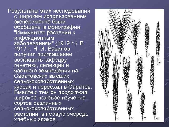 Результаты этих исследований с широким использованием эксперимента были обобщены в монографии "Иммунитет растений к