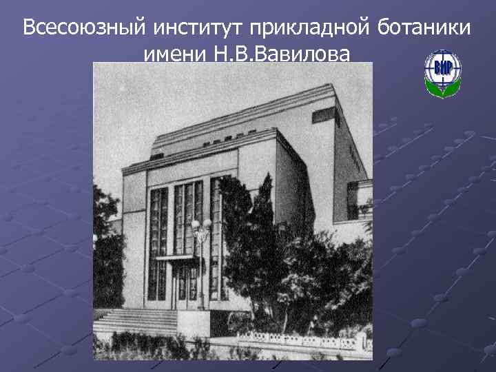 Всесоюзный институт прикладной ботаники имени Н. В. Вавилова 