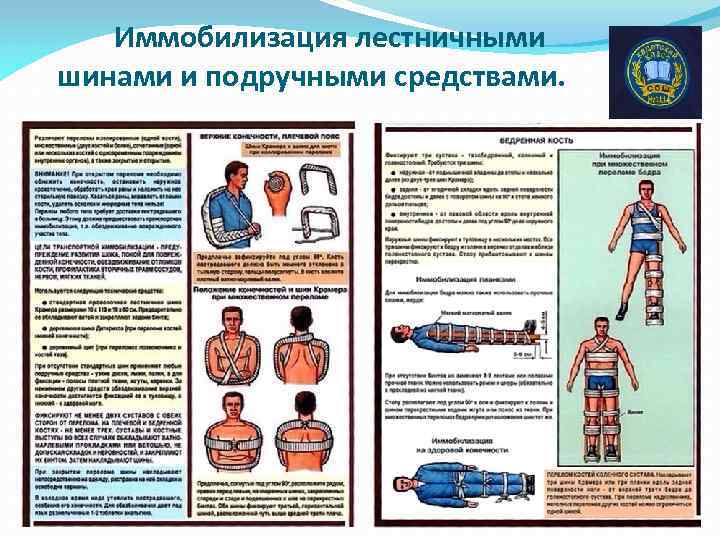 4 основы медицинских знаний