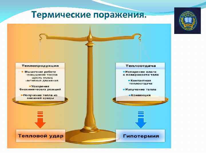Термические поражения. 