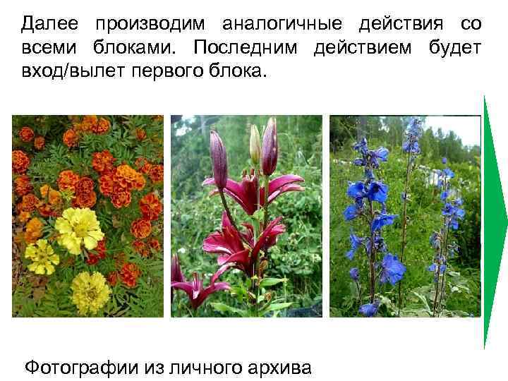 Далее производим аналогичные действия со всеми блоками. Последним действием будет вход/вылет первого блока. Фотографии