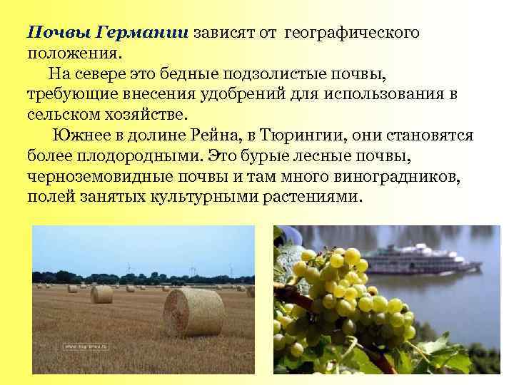 Почвы Германии зависят от географического положения. На севере это бедные подзолистые почвы, требующие внесения