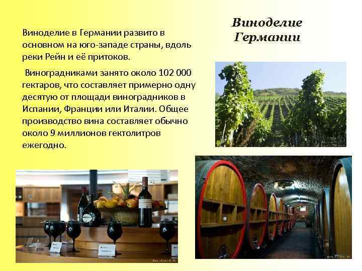 Виноделие в Германии развито в основном на юго-западе страны, вдоль реки Рейн и её