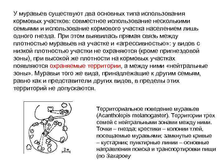 У муравьев существуют два основных типа использования кормовых участков: совместное использование несколькими семьями и