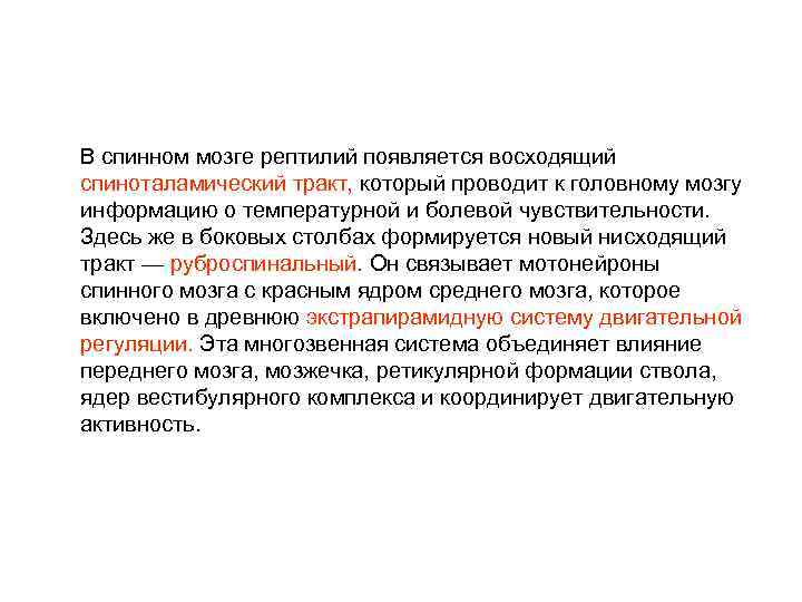 В спинном мозге рептилий появляется восходящий спиноталамический тракт, который проводит к головному мозгу информацию