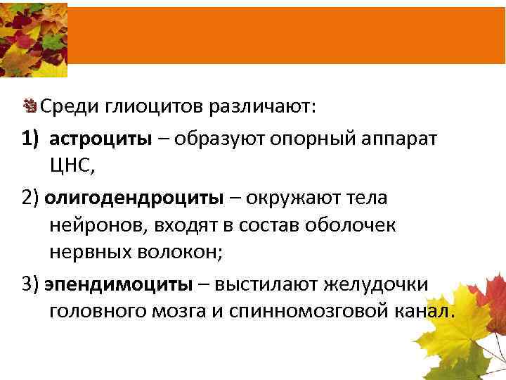 Среди глиоцитов различают: 1) астроциты – образуют опорный аппарат ЦНС, 2) олигодендроциты – окружают