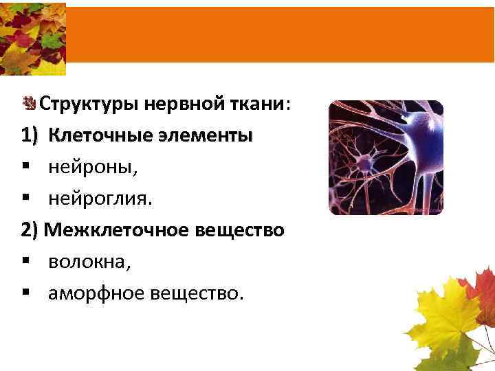 Структуры нервной ткани: 1) Клеточные элементы § нейроны, § нейроглия. 2) Межклеточное вещество §