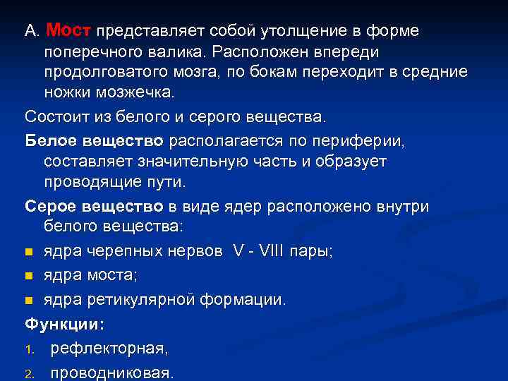 А. Мост представляет собой утолщение в форме поперечного валика. Расположен впереди продолговатого мозга, по