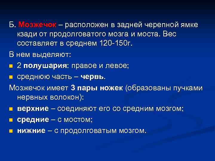 Б. Мозжечок – расположен в задней черепной ямке кзади от продолговатого мозга и моста.