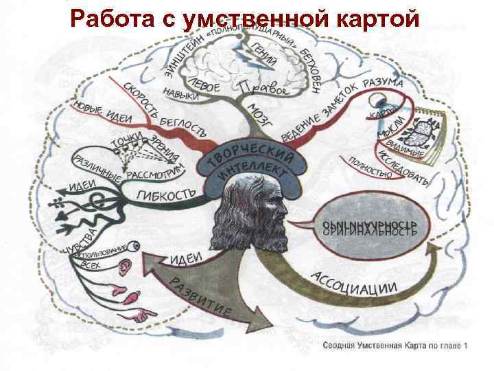 Работа с умственной картой 