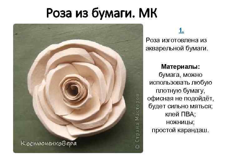 Роза из бумаги. МК 1. Роза изготовлена из акварельной бумаги. Материалы: бумага, можно использовать
