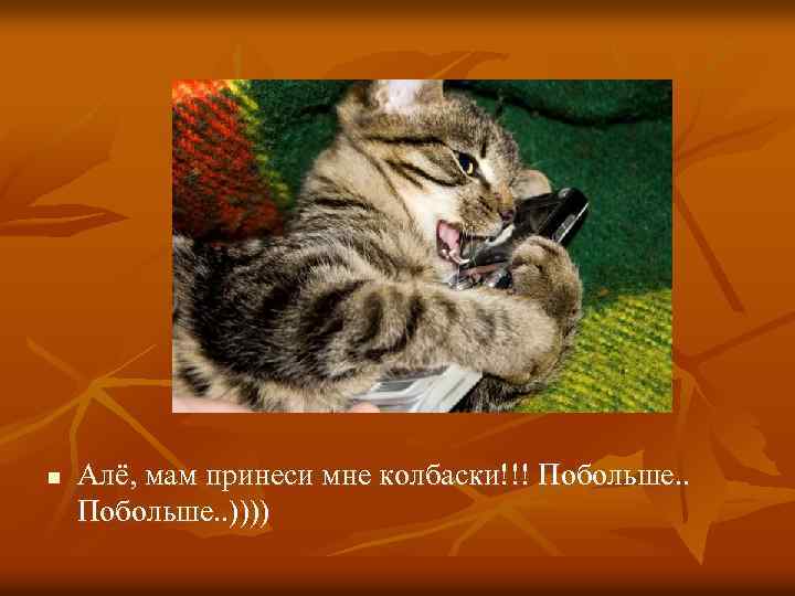 n Алё, мам принеси мне колбаски!!! Побольше. . )))) 