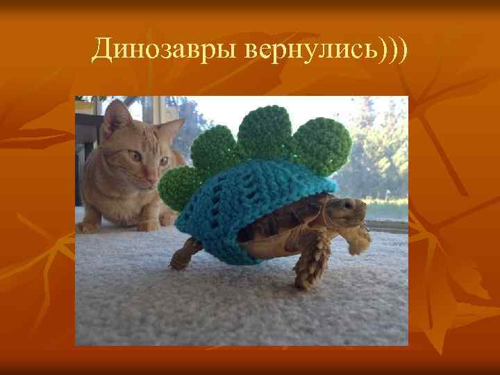 Динозавры вернулись))) 