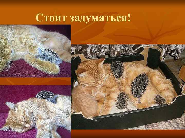 Стоит задуматься! 