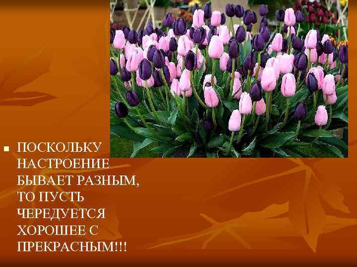 Хорошо поскольку. Поскольку настроение бывает разным пусть чередуется. Пусть чередуется хорошее с прекрасным. Настроение бывает разным пусть чередуется хорошее с прекрасным. Поскольку настроение бывает разным.