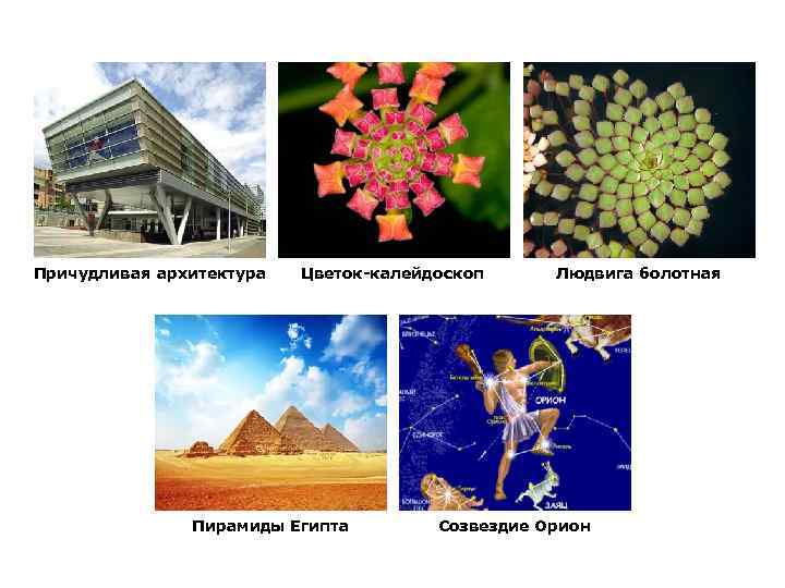 Причудливая архитектура Цветок-калейдоскоп Пирамиды Египта Людвига болотная Созвездие Орион 