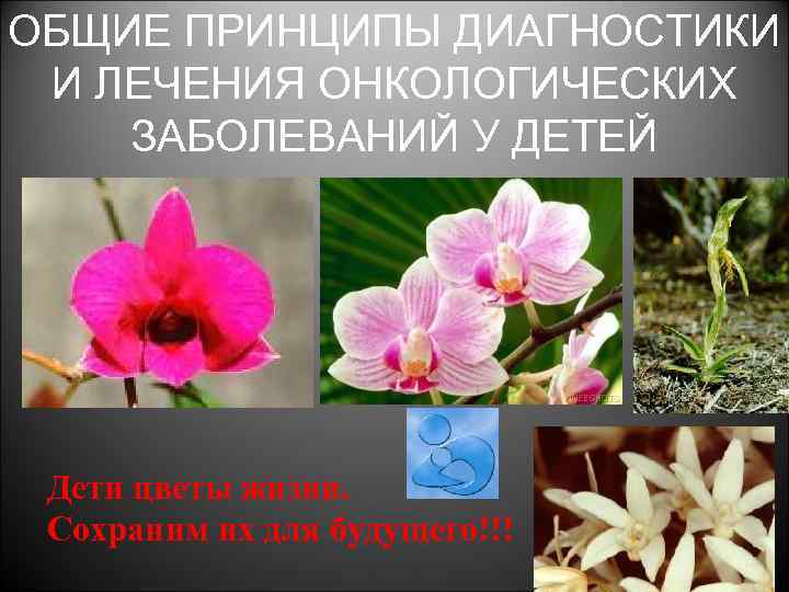 ОБЩИЕ ПРИНЦИПЫ ДИАГНОСТИКИ И ЛЕЧЕНИЯ ОНКОЛОГИЧЕСКИХ ЗАБОЛЕВАНИЙ У ДЕТЕЙ Дети цветы жизни. Сохраним их