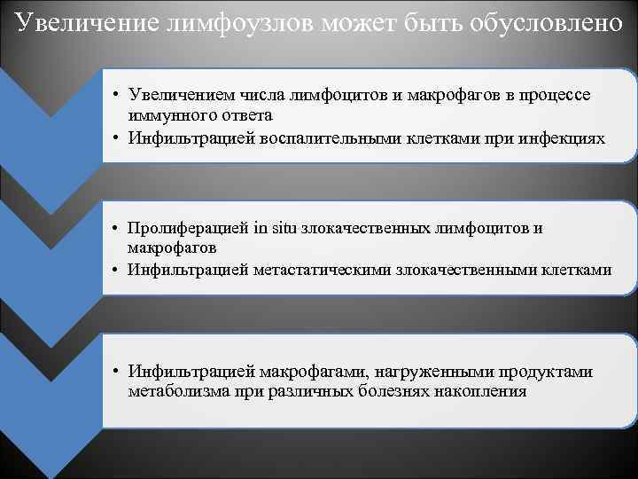 Увеличение лимфоузлов может быть обусловлено • Увеличением числа лимфоцитов и макрофагов в процессе иммунного