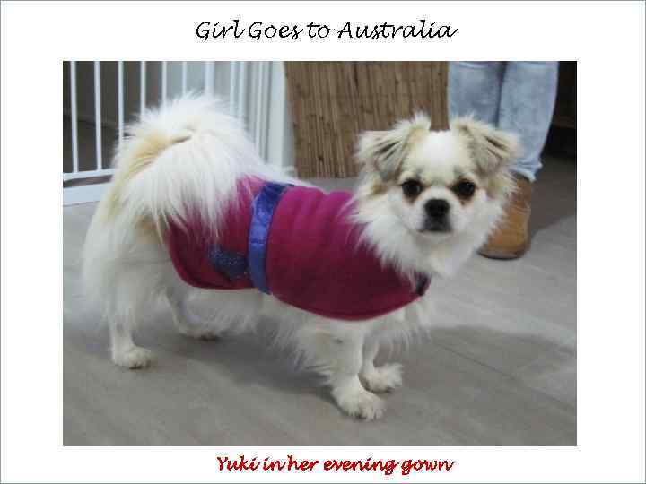 Girl Goes to Australia Yuki in her evening gown 