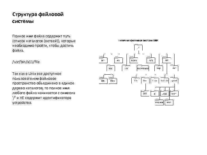 Структура файловой системы Полное имя файла содержит путь (список каталогов (ветвей)), которые необходимо пройти,
