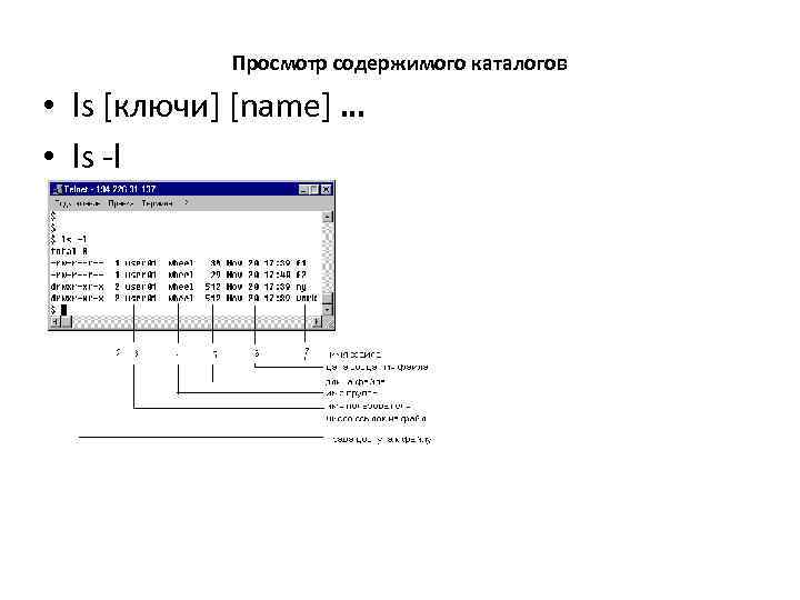 Просмотр содержимого каталогов • ls [ключи] [name] … • ls -l 