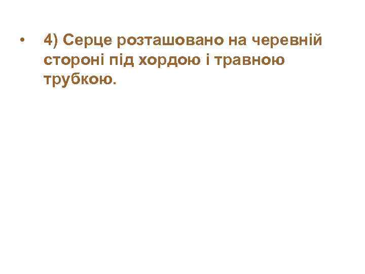  • 4) Серце розташовано на черевній стороні під хордою і травною трубкою. 
