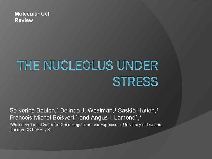 Molecular Cell Review THE NUCLEOLUS UNDER STRESS Se´verine Boulon, 1 Belinda J. Westman, 1
