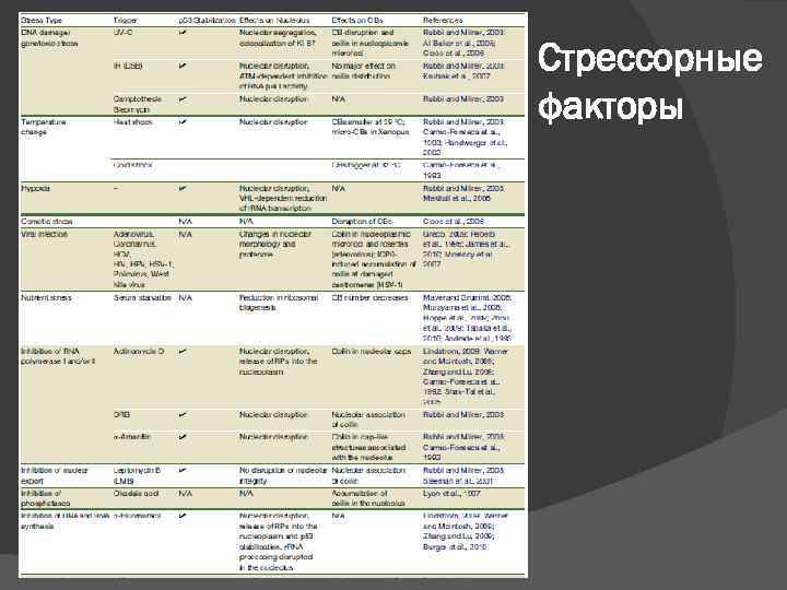 Стрессорные факторы 