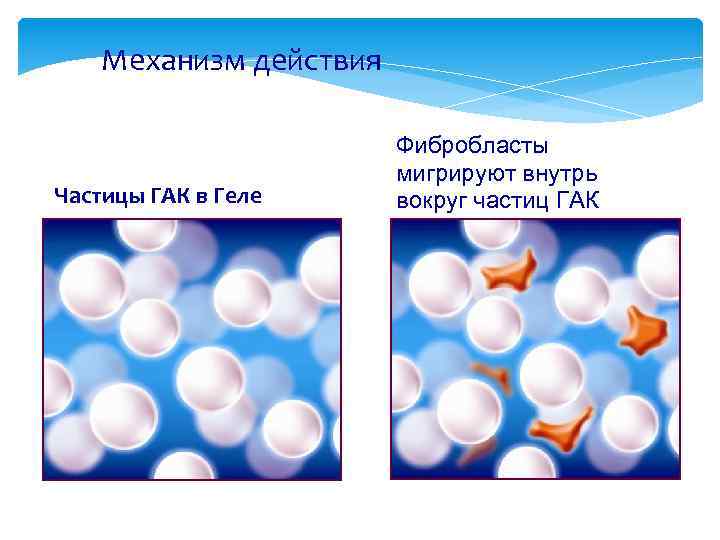 Под действием какой частицы