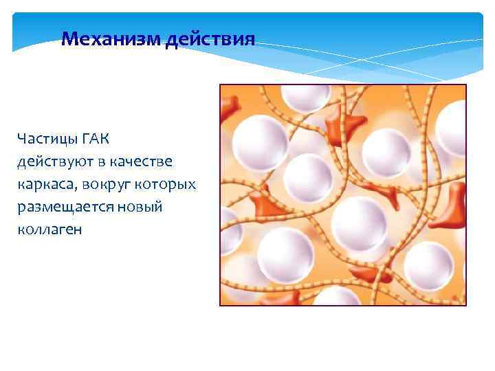 Механизм действия Native Fibers (red) Частицы ГАК действуют в качестве каркаса, вокруг которых Residual