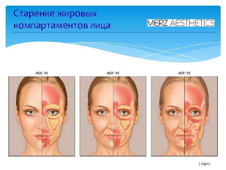 Программа для старения лица на фотографии на компьютере