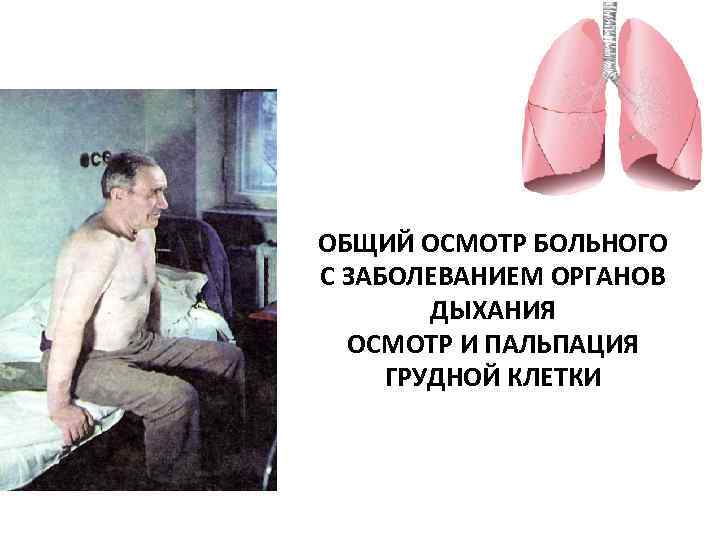 ОБЩИЙ ОСМОТР БОЛЬНОГО С ЗАБОЛЕВАНИЕМ ОРГАНОВ ДЫХАНИЯ ОСМОТР И ПАЛЬПАЦИЯ ГРУДНОЙ КЛЕТКИ 
